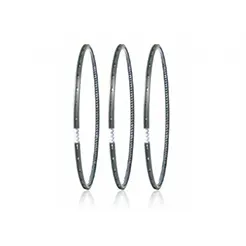 M Type GN Oil Ring (DV-Σ)